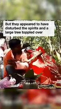 Praying family to forest god get crushed by falling tree