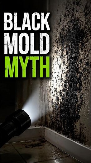 Mold Myth Homeowners Need to Hear| Pro Inspection Solutions