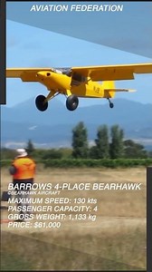 Barrows 4 Place Bearhawk | Backcountry Capability Meets Homebuilt Versatility