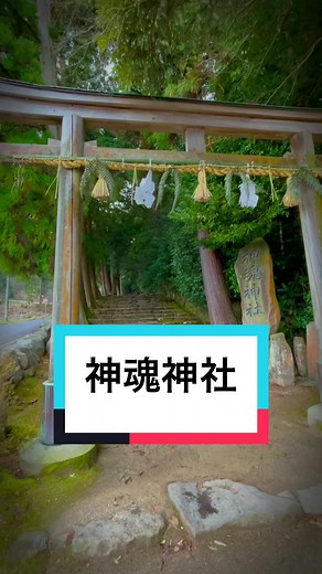 島根県松江市のパワースポット、神魂神社の絶景！
