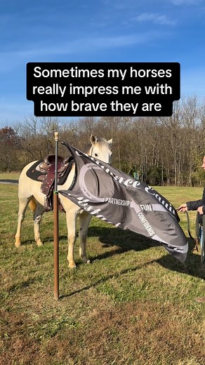 Always keeping us on our toes 🫣 | Square One Horsemanship LLC