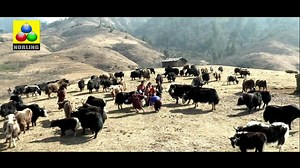 NOW SCREENING!!! Changlimithang Parking - Daily at 6:30 PM. Thimphu Tshechu Special Screening at 3:30 PM & 6:30 PM (3rd - 5th October). Arriving at Trowa Theatre on 6th of October. To reserve tickets in advance, please call 17698200. Visit www.norlingdrayang.com for more information. (Click on HD for High Definition viewing) | Choegyal Drimed Kuenden - Norling Drayang Productions