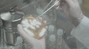 The process of manufacturing Dietary Supplements in bio factories