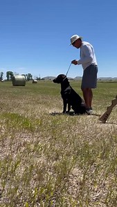 4.8K views · 2K reactions | With so many people reaching out to me as...