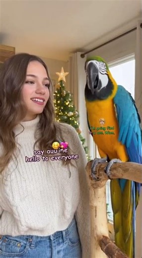 The funniest mischievous parrot, you won't be able to stop laughing