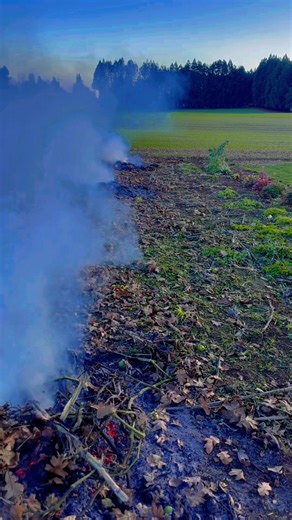 Rachel Heuberger on Reels