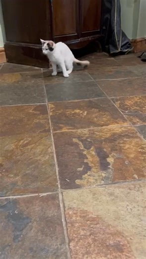 11K views · 72 reactions | Although this rarely happens we wanted to...