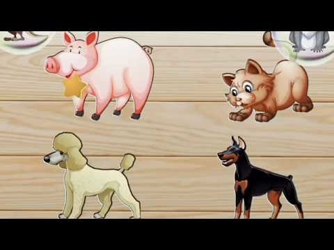Puzzle Cartoon for Kids | Educational Video for Toddlers