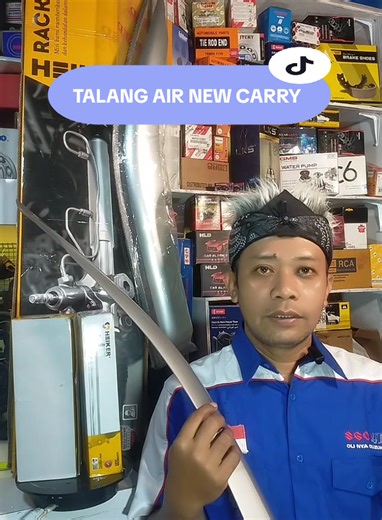 Talang Air New Carry: The Future of Pickup Trucks