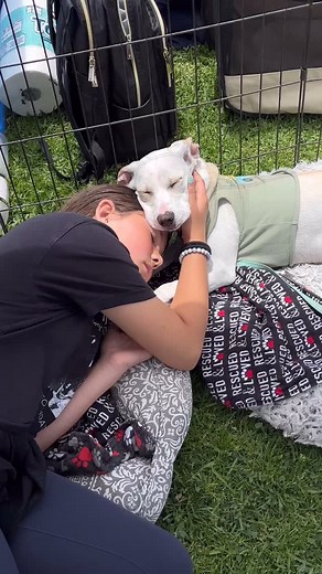 You'll get adopted soon little one.... Humphrey: 5.5 month old beagle/terrier mix. Small breed, potty & leash trained. Sweet & easy going. Gets along great with other dogs & loves children. 🩵 Contact us at: almarescue.org to meet! #savealifeadopt #adoptdontshop #beaglemix #dogs #rescuedisourfavoritebreed #adoptoceanside #adoptsandiego #rescuedog #dogs #petfinder #adoptapet #almarescue | Erin Riley-Carrasco