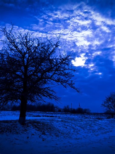 Embracing a Beautiful Day: Aesthetic Moments