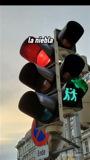 El secreto del semáforo 🚦