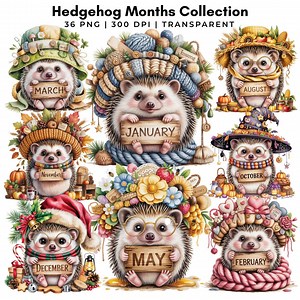 Hedgehog Months Collection 36 PNG | Monthly Clipart | 12 Months Calendar | Digital Sticker - Etsy Australia