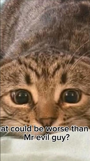 what could be worse than the Mr evil guy... #cat#catmemes#viral #shorts #youtubeshorts