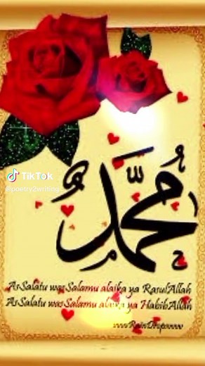 St@r1😘 (@poetry2writing)’s videos with original sound - Antwerpen_lions