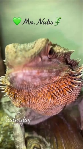 Cassey Mackillop (@cassey.mackillop)’s videos with It's so Cute (Skit) - Corpse Circus