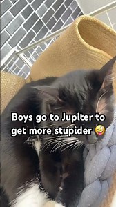 Boys go to Jupiter to get more stupiter 🤪