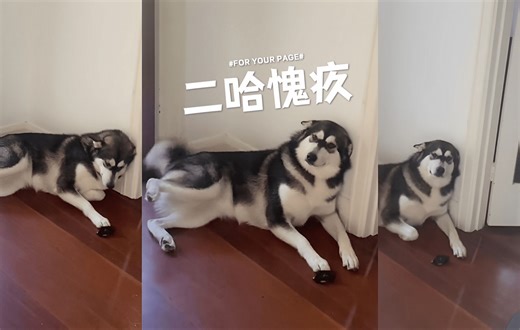 别骂宝宝了，烤鸡是我偷吃的！！