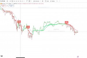 Algo Trading With Accurate Signals- Tradingview Indicator - Etsy Canada