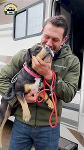 We rescued 17 AMAZING dogs from high kill shelters in California! Thank you to everyone involved in this rescue mission! 👏🏽❤️❤️ | Lee Asher