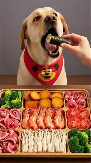 pure bliss a heartwarming compilation of my cute dog eating dinner