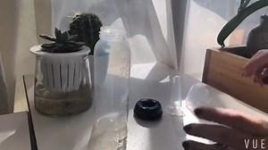 Watch Adult Baby Bottle Product Video on Amazon Live