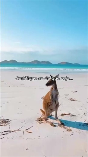 Se você só puder visitar um lugar na Austrália, faça com que seja Whitsunday.