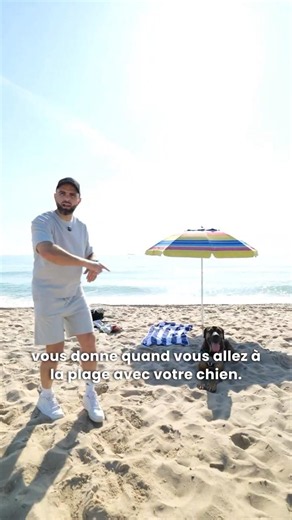 The advice no one gives you about going to the beach with your dog!