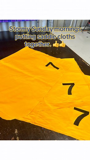 14 reactions | Making saddle pads on a Sunday  #ponyclub #smallbusinesslove #saddlecloths | Paterson Horse Rugs | Facebook