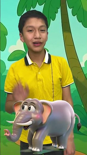 Luli Pampín Camino por la Selva #cancionesinfantiles #animals #baile