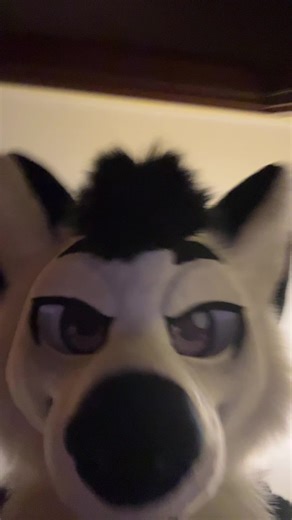 I think it’s done like this #furry #fursuit #furrycommunity #funny #fursuiting