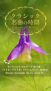 1分クラシック♪モーツァルト アイネ・クライネ・ナハトムジーク #クラシック #名曲 #朝