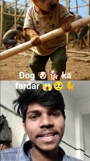 dog 🐕🐶 ka fardar#cute #love #sad #cutedog #animahal #hindisong #funny #comedy #lifeisbutadream