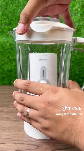 Simplus 3 in 1 Blender: User Manual, Review, and More