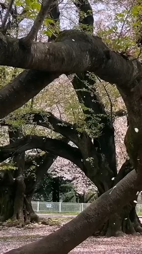 What's so funny? 😂 | PewDiePie