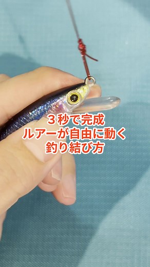 ３秒でできるラインとルアーが自由に動く結束を紹介 #fishing #釣り部 #魚釣り #釣り #釣りあるある #釣り初心者 #釣りガール #糸の結 #フリーノット #釣り人 #船釣り #釣り動画 #つり #釣り好き #釣り好きとつながりたい #釣り好きと繋がりたい #海釣り #船釣り #海釣り初心者 #船釣り好きな人と繋がりたい #ジギング #堤防釣り #釣り人 #釣り人の日常