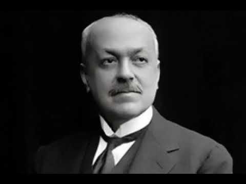 Italo Svevo, La coscienza di Zeno, Capitolo 7 Storia di un'associazione commerciale a, Legge Silv