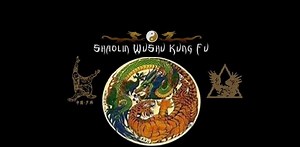 186 reactions · 225 shares | The Shaolin Warrior Monks put on a display of amazing animal forms as part of their performance, On display were such varied forms as Frog, Mantis, Snake,Dragon, Eagle Claw and Scorpion as well as Tiger Claw and others. All those styles relays on breathing techniques called Qi Gong or Chi Kung as 60% works on how you control your breath and the rest is physical. | Shaolin WuShu Kung Fu | Facebook