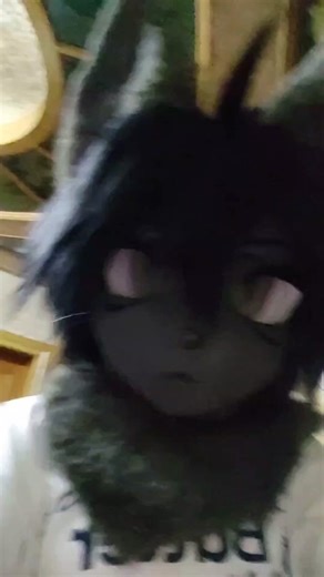 Fun Kemono Fursuit Party with Yemsao and Regulus