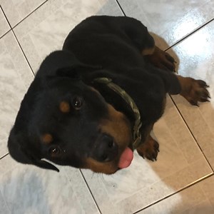 keys Schedule - Twitch