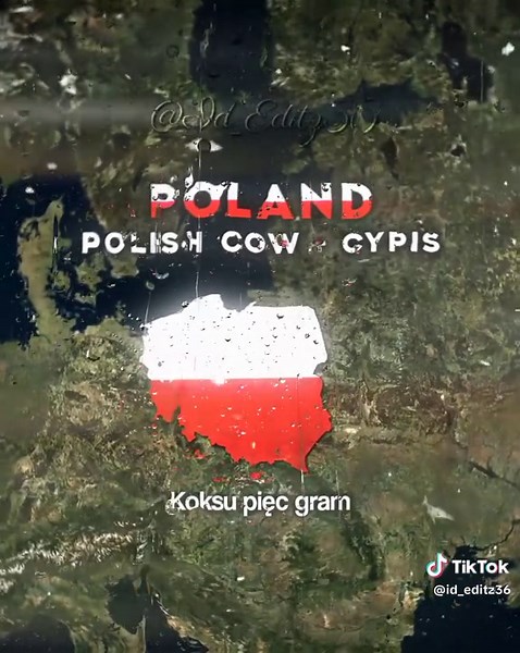 Famous Songs And Where It From part 11 🎵🌍 // Ib:@java.mapping || no hate || #editing #indonesian_editz36 #id_editz36 #tookeffort #foryou #viral #4upage #country #geography #edits #nohate #nodevideo #alightmotion #aftereffects #thxforallyoursupport #ihopeyouenjoyed #ihopeyoulike