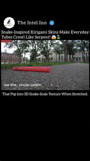 Snake-Inspired Kirigami Skins Make Everyday Tubes Crawl Like Serpent! 😱🐍 #SoftRobotics #Technology