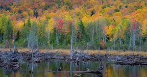 The Best Things to Do in Moosehead Lake Maine