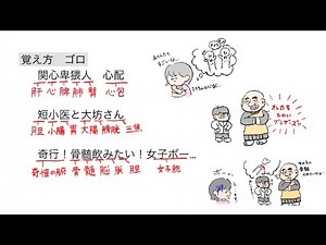 臓腑の覚え方 【五臓・六腑・奇恒の腑】