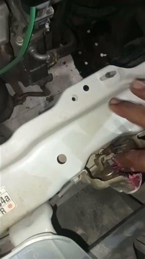 Battery terminal plug and bonut Grease