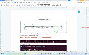python创建mininet网络拓扑图，sdn技术，mininet拓扑图设计