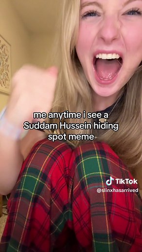 Saddam Hussein Hiding Spot Meme