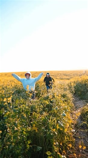 Young Life College @ CU Boulder | SPRING BREAK IS AROUND THE CORNER! This is the trip of a lifetime with adventure and beach and surf and so much laughter you grow a 6... | Instagram