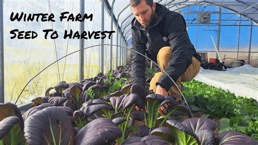 Small Farm Life In Winter - from Seed to Harvest - (ASMR)