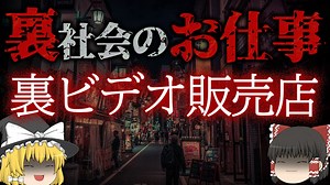 【裏社会のおしごと事情】裏ビデオ販売店とは…歌舞伎町に今もはびこる闇職業【ゆっくり解説】